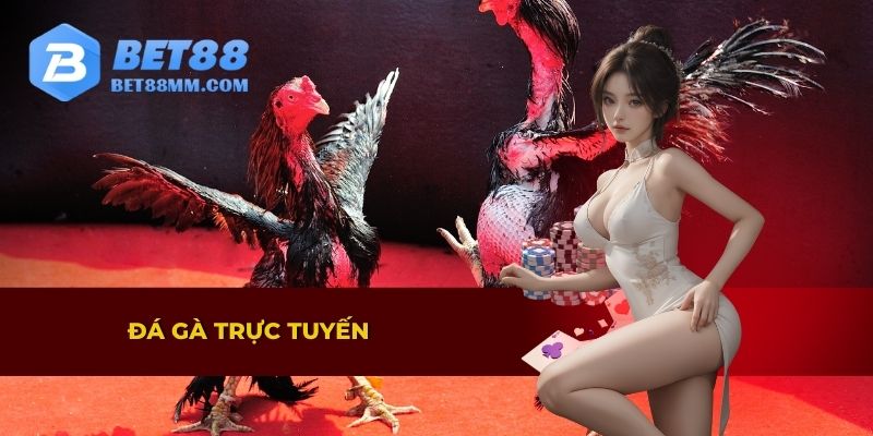 Đá gà trực tuyến siêu hấp dẫn tại BET88